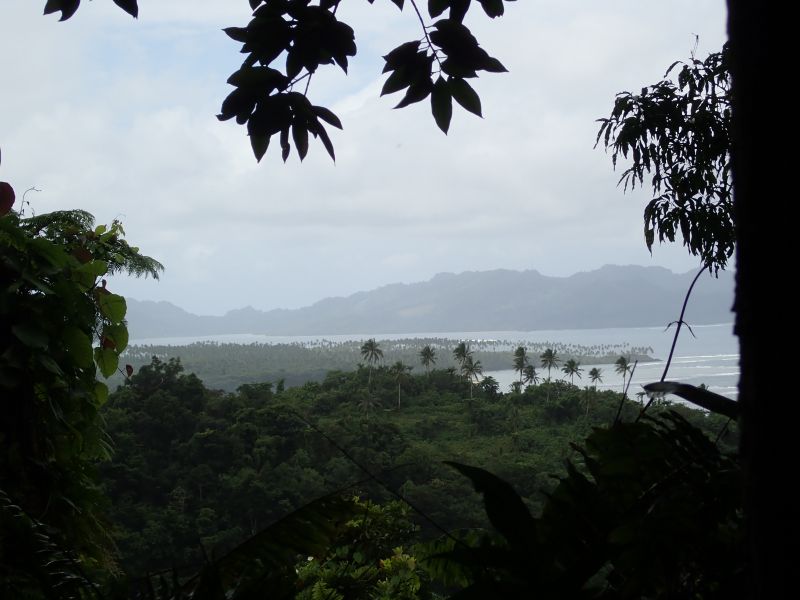 Viewing photos→2018→2018-09-13→35