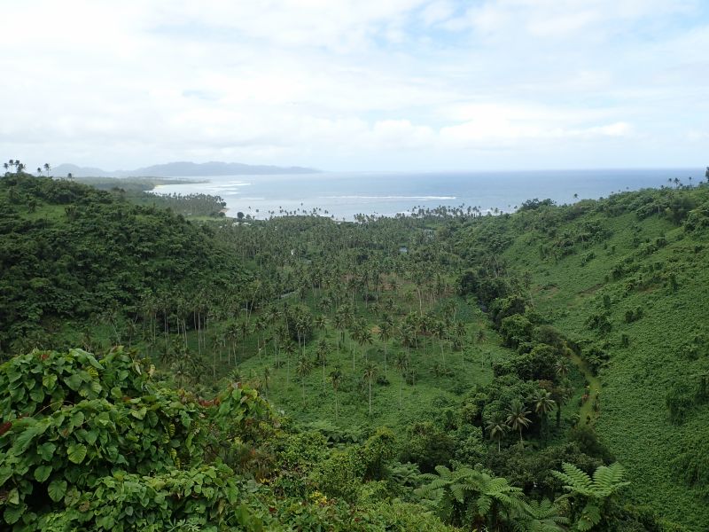 Viewing photos→2018→2018-09-13→36