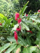 38.jpg - 2018:09:13 00:28:39