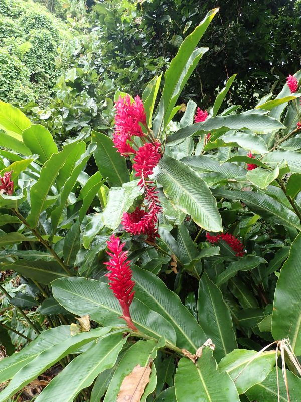 Viewing photos→2018→2018-09-13→38