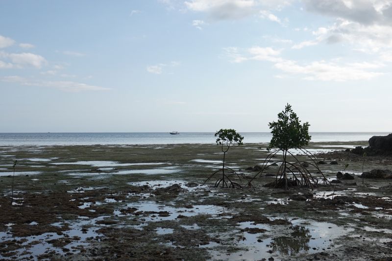 Viewing photos→2018→2018-09-14→01