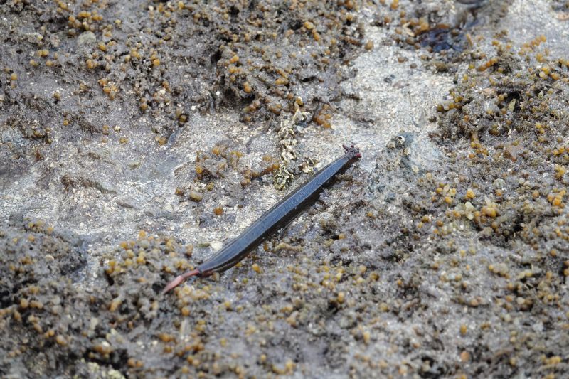 Viewing photos→2018→2018-09-14→04