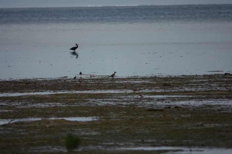 Viewing photos→2018→2018-09-14→08