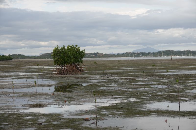 Viewing photos→2018→2018-09-14→09