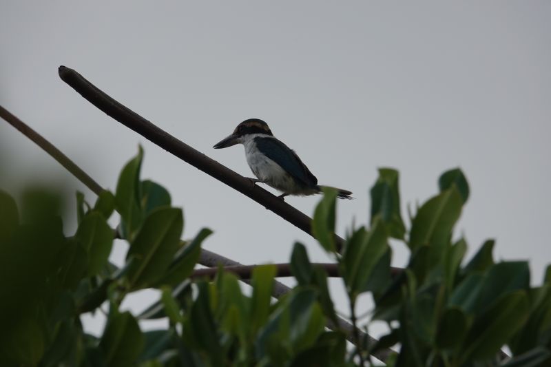 Viewing photos→2018→2018-09-14→10