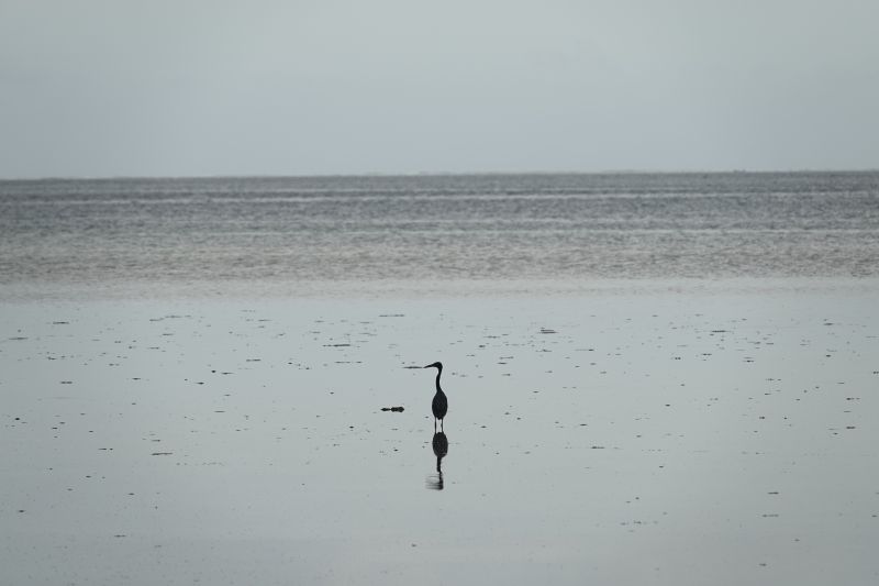 Viewing photos→2018→2018-09-14→11