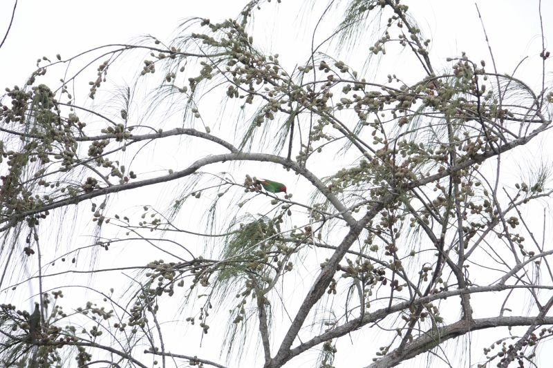 Viewing photos→2018→2018-09-14→14