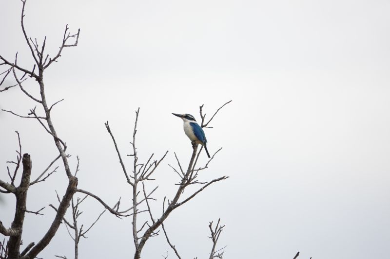 Viewing photos→2018→2018-09-14→19