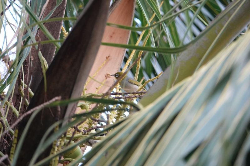 Viewing photos→2018→2018-09-14→21