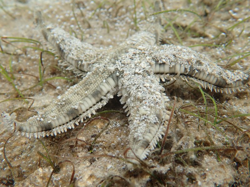 Viewing photos→2018→2018-09-14→24