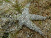 25.jpg - 2018:09:15 04:32:02