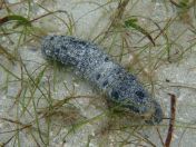 27.jpg - 2018:09:15 04:34:13