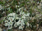 28.jpg - 2018:09:15 04:49:03