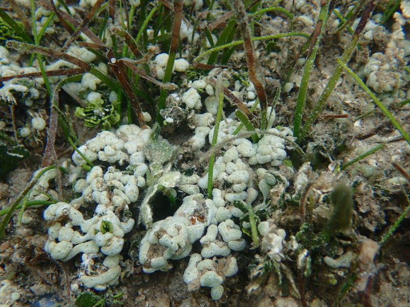 Viewing photos→2018→2018-09-14→28