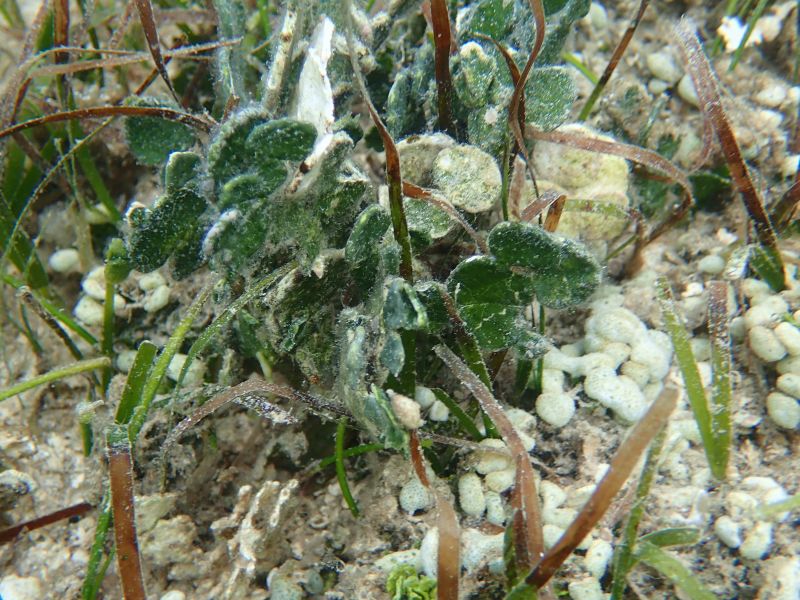 Viewing photos→2018→2018-09-14→29