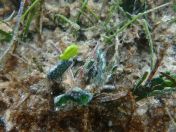 30.jpg - 2018:09:15 04:49:14