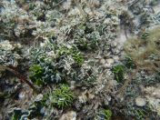 31.jpg - 2018:09:15 04:53:11