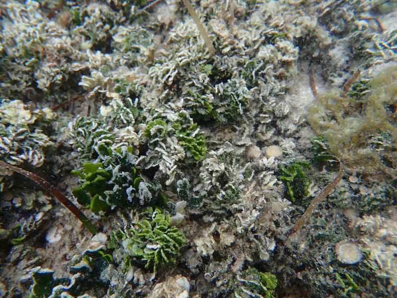 Viewing photos→2018→2018-09-14→31