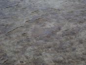 32.jpg - 2018:09:15 04:56:23