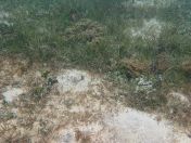 33.jpg - 2018:09:16 02:49:26