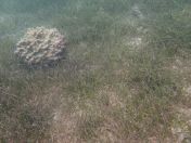 34.jpg - 2018:09:16 02:52:51