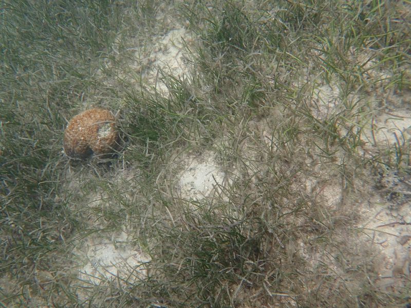 Viewing photos→2018→2018-09-14→35