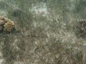 37.jpg - 2018:09:16 02:55:59