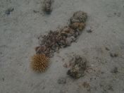 38.jpg - 2018:09:16 02:57:55