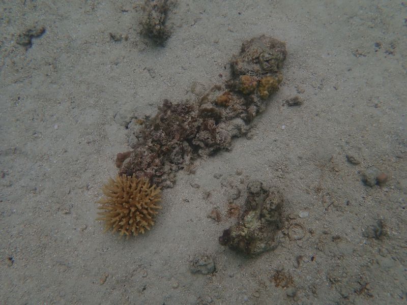 Viewing photos→2018→2018-09-14→38