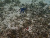 40.jpg - 2018:09:16 03:09:08