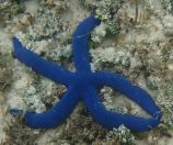 41.jpeg - 2018:09:16 03:14:08