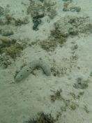 43.jpg - 2018:09:16 03:18:40