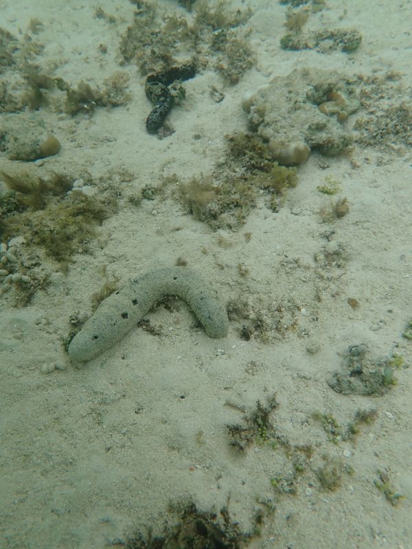 Viewing photos→2018→2018-09-14→43