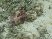 46.jpg - 2018:09:16 03:19:17