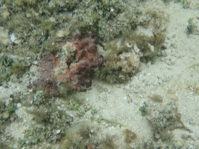 Viewing photos→2018→2018-09-14→46