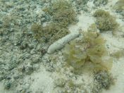 47.jpg - 2018:09:16 03:19:22