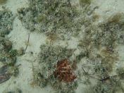 48.jpg - 2018:09:16 03:20:05