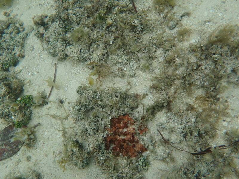 Viewing photos→2018→2018-09-14→48