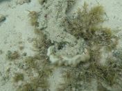 49.jpg - 2018:09:16 03:21:33