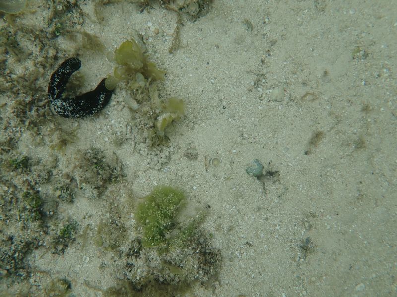 Viewing photos→2018→2018-09-14→50