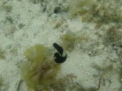 51.jpg - 2018:09:16 03:23:21