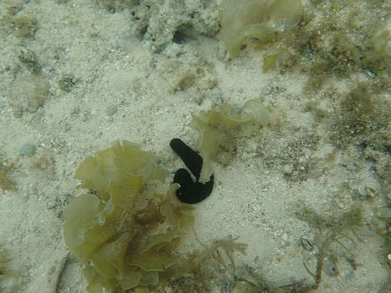 Viewing photos→2018→2018-09-14→51