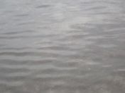 52.jpg - 2018:09:16 03:37:27