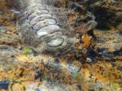 53.jpg - 2018:09:16 03:55:12