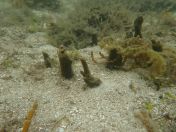 54.jpg - 2018:09:16 04:00:35