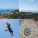 2018-09-15 - 2018-09-16<br/>
<b>Hiking Malolo, Fiji</b>
