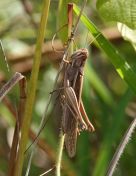 04.jpeg - 2018:09:14 21:56:32