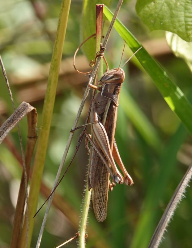 Viewing photos→2018→2018-09-15→04