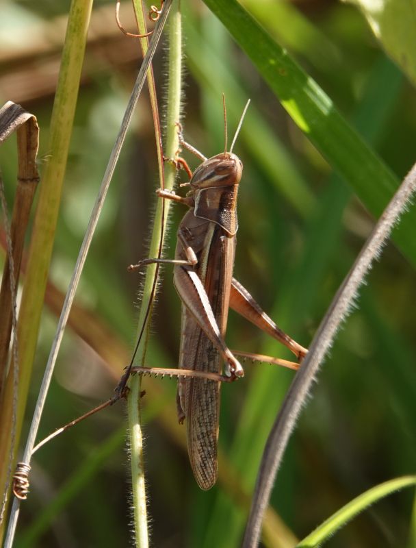 Viewing photos→2018→2018-09-15→05