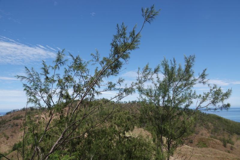 Viewing photos→2018→2018-09-15→11